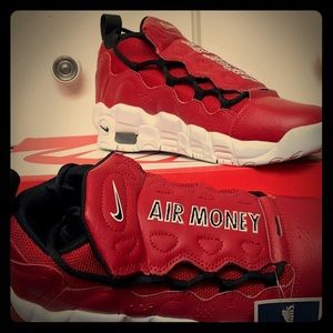 Nike Shoes (never used)